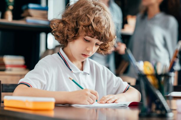 adorable curly boy doing homework