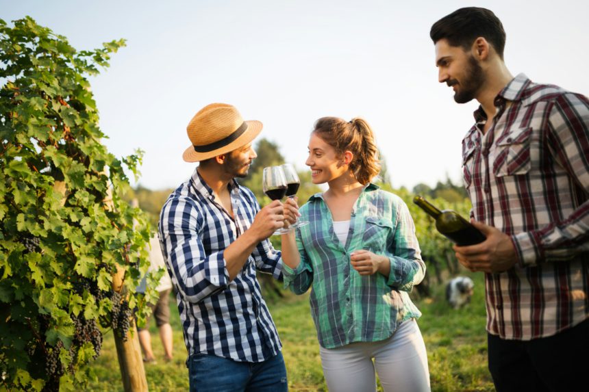 Wine tourists tasting wine in vineyard